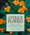 Antique Flowers: A Guide to Using Old-Fashioned Species in Contemporary Gardens - Katherine Whiteside