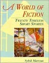 A World of Fiction: Twenty Timeless Short Stories - Sybil Marcus