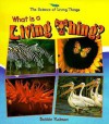 What Is a Living Thing? - Bobbie Kalman