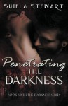 Penetrating the Darkness: Darkness Series Book 6 - Shiela Stewart