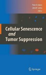 Cellular Senescence And Tumor Suppression - Peter D. Adams, John M. Sedivy