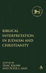 Biblical Interpretation in Judaism & Christianity (Library of Hebrew Bible/Old Testament Studies) - Peter J. Haas