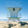 Iconic: Perspectives on a Man-Made World - Brian Vanden Brink