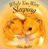 While You Were Sleeping - John Butler