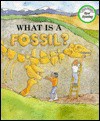 What is a Fossil? - Meish Goldish