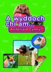 A Wyddoch Chi Am Anifeiliaid Cymru? - Elin Meek