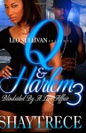 Q and Harlem 3: Blindsided By A Love Affair - Shaytrece