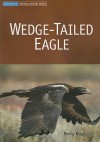 Wedge-Tailed Eagle - Penny Olsen