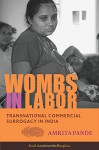 Wombs in Labor: Transnational Commercial Surrogacy in India (South Asia Across the Disciplines) - Amrita Pande