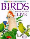 See and Explore Library: Birds and How They Live - Richard Orr, Maurice Pledger