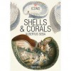 Shells & Corals - Albertus Seba, Irmgard Müsch