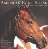 The American Paint Horse: A Photographic Portrayal - Jennifer Forsberg Meyer, David R. Stoecklein, Darrell Dodds