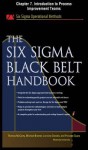 The Six SIGMA Black Belt Handbook, Chapter 7 - Introduction to Process Improvement Teams - Thomas McCarty, Kathleen Mills, Michael Bremer, John Heisey, Praveen Gupta, Lorraine Daniels