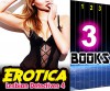 EROTICA: Lesbian Detectives 4: 3 Books Special Bundle: Hot Girl Erotica Lesbian Love Stories - Ella Gottfried