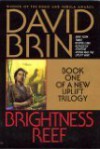 Brightness Reef - David Brin