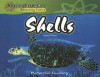 Shells - Lesley Pether