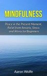 Mindfulness: Peace in the Present Moment, Relief from Stress, Anxiety and Worry for Beginners (Mediation, Finding Peace, Present Movement, Mindfulness for Beginners, Mindfulness Guide, Relaxation) - Aaron Wolfe