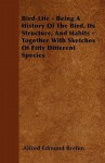 Bird-Life - Being a History of the Bird, Its Structure, and Habits - Together with Sketches of Fifty Different Species - Alfred Edmund Brehm