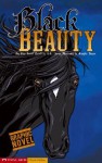 Black Beauty (Graphic Revolve (Graphic Novels)) - L.L. Owens