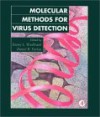 Molecular Methods For Virus Detection - Danny L. Wiedbrauk