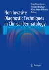 Non Invasive Diagnostic Techniques in Clinical Dermatology - Enzo Berardesca, Howard Maibach, Klaus Wilhelm