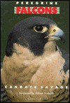 Peregrine Falcons - Candace Savage, Adrian Forsyth