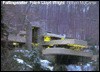 Fallingwater: Frank Lloyd Wright - Robert McCarter