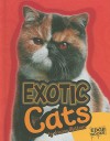 Exotic Cats - Joanne Mattern