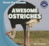 Awesome Ostriches - Ryan Nagelhout