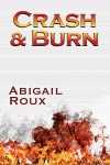 Crash & Burn - Abigail Roux