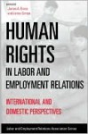 Human Rights in Labor and Employment Relations: International and Domestic Perspectives - James A. Gross, Lance Compa