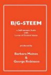 B/G-Steem - User Manual: A Self-Esteem Scale with Locus of Control Items **** Rights Reverted - Refer to Authors **** [With CDROM] - George Robinson