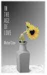 In the Age of Love - Michael Stein