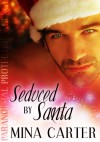 Seduced by Santa (Paranormal Protection Agency) - Mina Carter