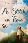 A Stitch in Time - Amanda James