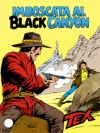 Tex n. 318: Imboscata al Black Canyon - Claudio Nizzi, Giovanni Ticci, Aurelio Galleppini