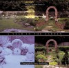 A Year in the Garden: Four Seasons of Texture, Color, and Beauty - Theodore James