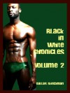 Black in White Chronicles Volume Two - Dallas Sketchman