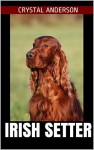 Irish Setter: How to Own, Train and Care for Your Irish Setter - Crystal Anderson