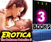 EROTICA: The Bedroom Detective 5: 3 Books Special Bundle Mystery: Hot Girl Detective Sex Stories - Suspense & Thriller with Burning Sensual Romance... - Ella Gottfried