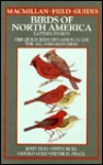 Birds of North America: A Quick Identification Guide to Common Birds - John L. Bull, Edith Bull, Gerald Gold, Pieter D. Prall