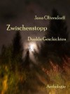 Zwischenstopp: Dunkle Geschichten (German Edition) - Jana Oltersdorff