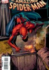 Amazing Spider-Man Vol 1# 581 - Brand New Day: Mind On Fire Part One: The Trouble With Harry - Dan Slott, Mike McKone