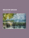 Meadow Brook - Mary Jane Holmes