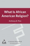 What is African American Religion?: Facets Series - Anthony B. Pinn