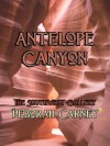 Antelope Canyon (Take a Walk With Me - The Southwest Gallery) - Deborah Carney