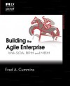 Building the Agile Enterprise: With Soa, Bpm and Mbm - Peter Ed. Cummins