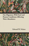 Our Migratory Wild Fowl and Present Conditions Affecting Their Abundance - Edward W. Nelson