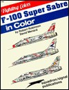 F-100 Super Sabre in Color - Robert Robinson, David W. Menard