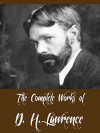 The Complete Works of D. H. Lawrence (22 Complete Works of D. H. Lawrence Including Women in Love, The Rainbow, Sons and Lovers, Fantasia of the Unconscious, Aaron's Rod, Twilight in Italy, & More) - D. H. Lawrence